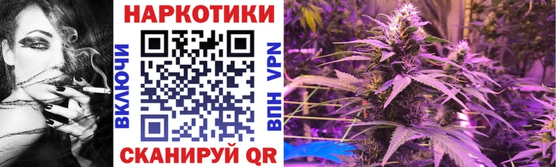 Где можно купить наркотики Зеленогорск Кодеин МЕФ APVP блэк спрут ССЫЛКА АМФЕТАМИН Гашиш COCAIN Марихуана