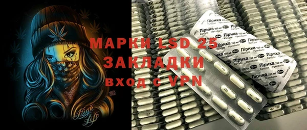 ГАЛЛЮЦИНОГЕННЫЕ ГРИБЫ Абаза