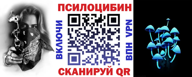 Псилоцибиновые грибы Psilocybe  Зеленогорск 