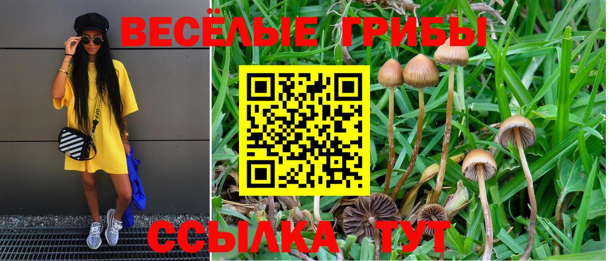 Галлюциногенные грибы мухоморы Зеленогорск
