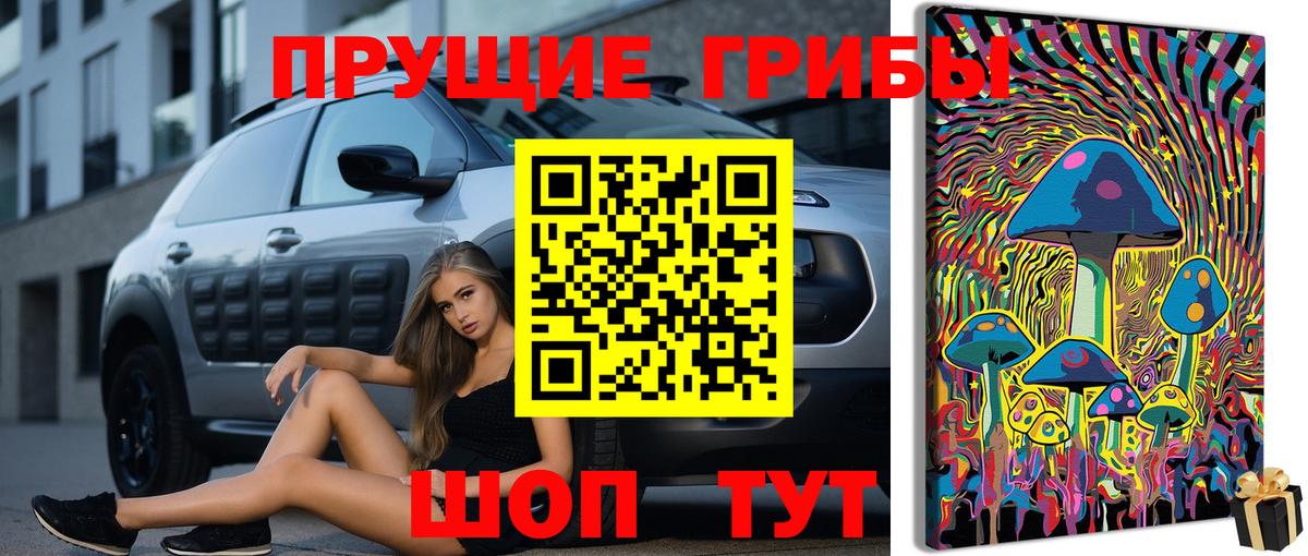 Галлюциногенные грибы ЛСД  Вход с VPN  Зеленогорск 