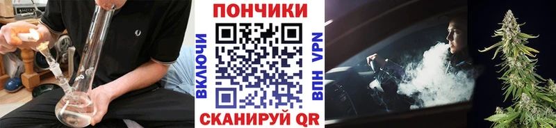 Бошки марихуана индика  Зеленогорск 