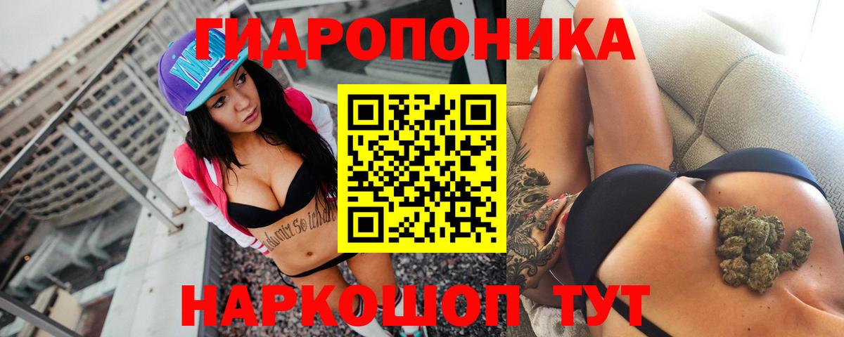 Шишки марихуана гибрид  Бошки марихуана AK-47  Зеленогорск  Вход с VPN  Конопля конопля 